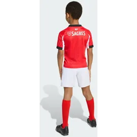 adidas Benfica Lissabon 25/26 Kids Mini-Heimausrüstung weiß|rot 98 cm