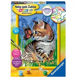 Ravensburger Malen-nach-Zahlen Katze mit Schmetterling mehrfarbig