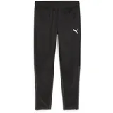 Puma teamGOAL Trainingshose Schwarz S