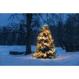 Konstsmide LED Lichterkette Büschellichterkette 12,2 m Bernsteinfarben