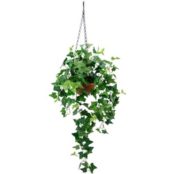 Kunstpflanze Efeu, my home, Höhe 96 cm, Im Topf, mit Hängeampel, künstlicher Efeuhänger grün