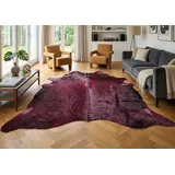 Kuhfelle Online & Nomad Kuhfell Teppich Echtfell in Violett/Aubergine – Exklusives Rinderfell ca. 220 x 180 cm hochwertiger Designer-Teppich für modernes Wohnen