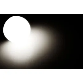 McShine LED Renovierleuchte 12W 4000K