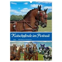Calvendo Kutschpferde im Portait (Wandkalender 2026 DIN A3 hoch),