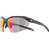 Alpina Twist Six HR QV grau - one size