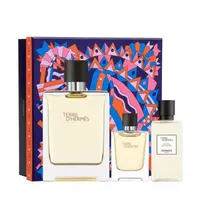 Hermès Terre d'Hermès Eau de Toilette 100 ml + Eau de Toilette 12,5 ml + After Shave 40 ml Geschenkset