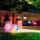 tint Müller-Licht Solar LED-Gartenleuchte Calluna, Ø 35 cm,
