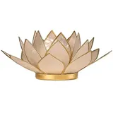 Capiz Lotus Atmospherisches Licht Perlmutt Goldrand - 13.5 cm