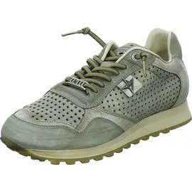CETTI Sneaker Low Herren Grün 43