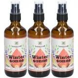 Sonnentor Raumspray Wintersonne 100 ml
