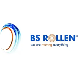 BS Rollen Drehkranz Außen, Durchmesser 306mm, D81, S 8mm verzinkt