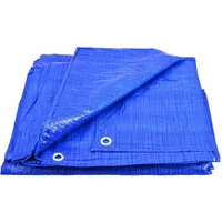 Awtools Blaue Plane 10 m x 12 m