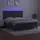 vidaXL Boxspringbett mit Matratze & LED Dunkelgrau 160x200 cm Samt