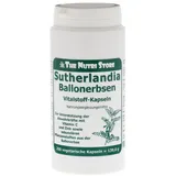 The Nutri Store Sutherlandia Ballonerbsen 580 vegetarische