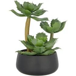 Creativ green Kunstpflanze »Echeveria«, mit dekorativem Kies Creativ green grün
