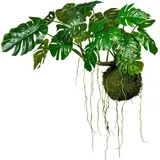 Creativ green Kunstpflanze »Splitphilodendron« Creativ green grün