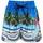 ZigZag Badehose "Dino", Kinder, Gr. 92, EURO-Größen, blau (blau, pink), Elasthan, Polyester, mehrfarbig, Badehosen Badehose, mit Hingucker-Aufdruck