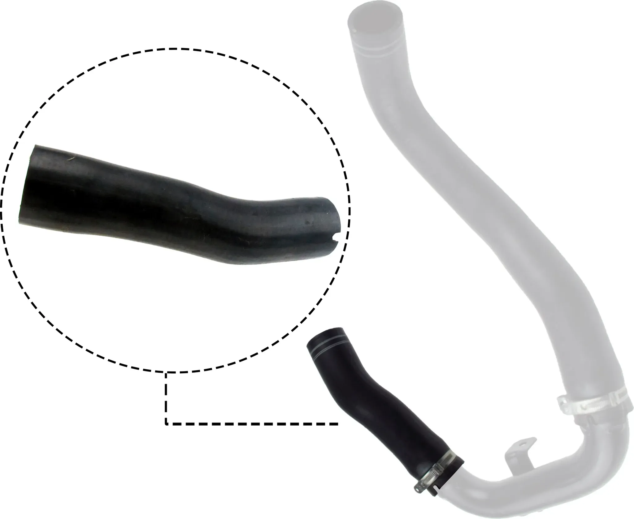 RAPRO Ladeluftschlauch r11609 für Fiat