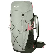 Salewa Alp Trainer 35+3L Rucksack Shadow/Dark Olive