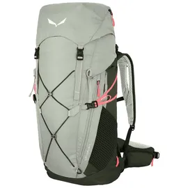 Salewa Alp Trainer 35+3L Rucksack Shadow/Dark Olive