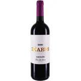 Thomas Hensel Hensel Ikarus Cabernet Cubin