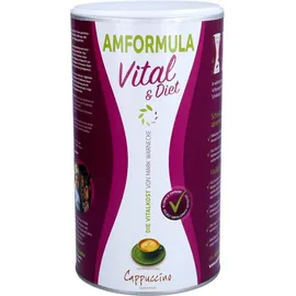Mark Warnecke Amformula Cappuccino Pulver 490 g