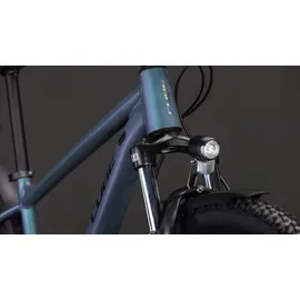 Cube Aim Pro FE 2026 29 Zoll RH 54 cm smaragdgrey 'n' prism