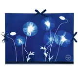 Clairefontaine 5x Cyanotypie, Zeichenmappe 28x38cm, Verschluss 3 Bändern 83513C