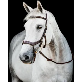 Horseware Micklem II Multi Bridle, Warmblut,
