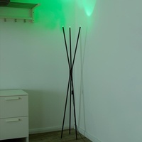Paul Neuhaus Q-Peter LED-Stehleuchte, RGB/CCT