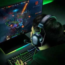 Razer BlackShark V2 X USB schwarz