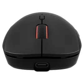 GENESIS Zircon XIII Custom schwarz