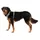 Ruffwear Front Range Hundegeschirr spring mountains XS
