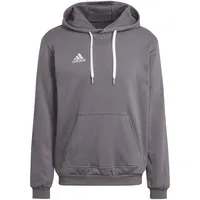 Adidas Entrada 22 Sweat Hoodie Team Grey Four XS