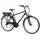 Schiano Ride 28 Zoll RH 48 cm Damen Herren schwarz