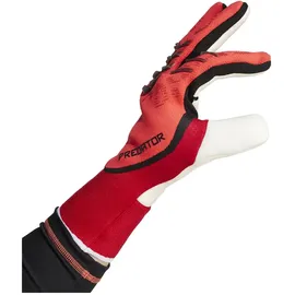 adidas Predator Pro Torwarthandschuhe - Lucid Red / Black / Pure Ruby - 12