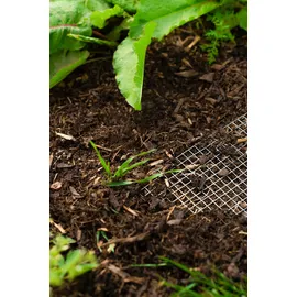 Vitavia Draneo 100 x 100 x 0 cm Silber