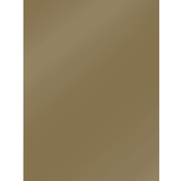 Clairefontaine 384575C - Packung mit 10 Bögen Plakatpapier, 60x80cm,