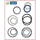 Scheppach   OX 5-1310   OX 5-1320   Dichtung Hydraulik Zylinder Brennholzspalter