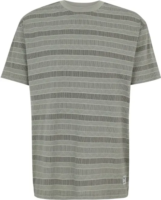 IRIEDAILY TAYLO T-Shirt 2026 smokey olive - M