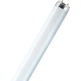 Osram Lumilux T8 L 36W/840 G13
