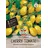 Sperli Gemüsesamen, Cherry-Tomate Yellow Pearshaped