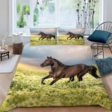 RFFLUX Pferd Bettwäsche 155x220 cm 3teilig mit Reißverschluss 3D Galopp Pferd Bettwäsche Sets Warme Winter Sommer Weich und Angenehme Bettbezüge mit 2 Kissenbezug 80x80 für Teenager