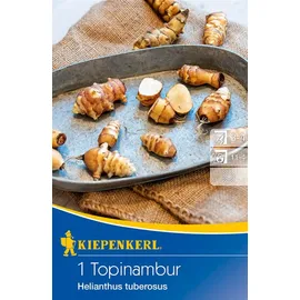 Kiepenkerl Topinambur, braun