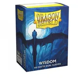 Arcane Tinmen Dragon Shield Matte Dual Wisdom (100)