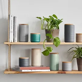 Springlane Frischhaltedose grau 1 l 2-teiliges Set