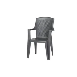 PROGARDEN Eden Stapelstuhl 62 x 60 x 89 cm anthrazit 4er Set