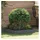 vidaXL Raseneinfassung 60 x 60 x 13 cm Anthrazit