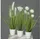 mucplants Kunstpflanze Gras im weißen Topf 3 Stück Höhe 38cm Grün/Creme Kunstgras Ziergras Tischdekoration
