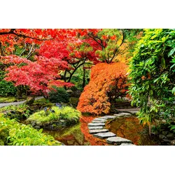 Fototapete PAPERMOON "JAPANISCHER GARTEN-BLUMEN BÄUME SEE NATUR HERBST WALD", bunt, B:3,00m L:2,23m, Vlies, Tapeten